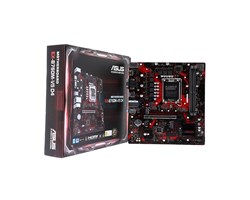 MAINBOARD ASUS EX-B760M-V5 D4