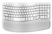 BÀN PHÍM CÔNG THÁI HỌC KHÔNG DÂY LOGITECH WAVE KEYS