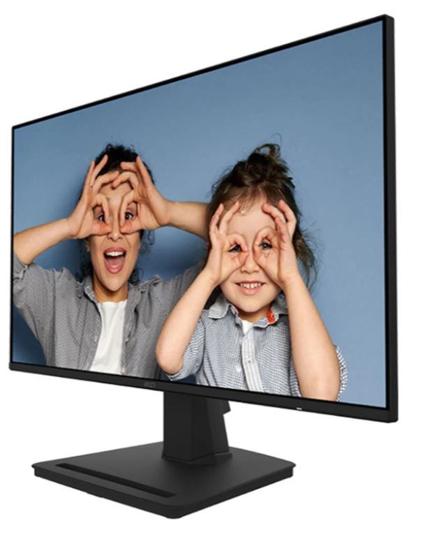 MÀN HÌNH LCD MSI 24.5” PRO MP252
